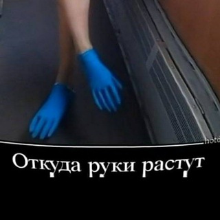 Вологодские нелепости