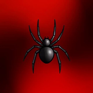 ❃VØPRÕS❓ 💯💯💯