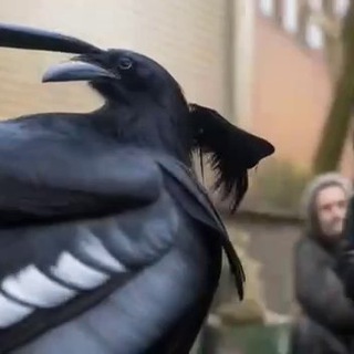 Ворона Карловна