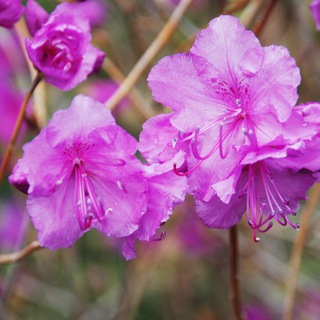 Кто не жмет руку Осипову...