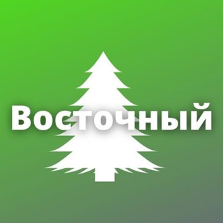 Восточный