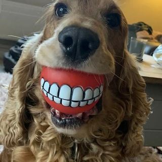 Вот Анекдот!!!