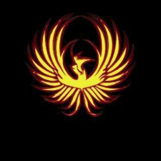 ВПИСКА ВОЛГОГРАД