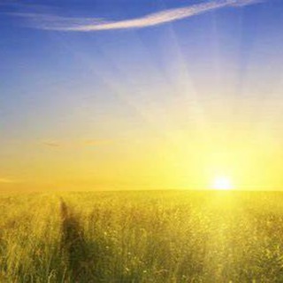 Время Выздоравливать