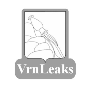 Voronezh Leaks