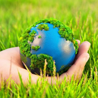 WTFact в Природе🏞️