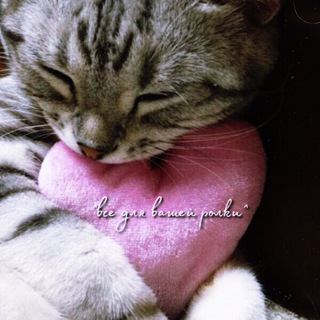 //все для вашей ролочки