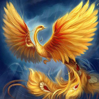 жар птица/всегда есть выход!