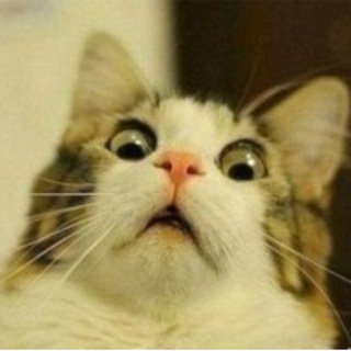 БРО... Без Розовых Очков....