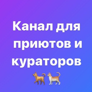 Собаку пристрой! Кота отдай! (кураторы ПС)
