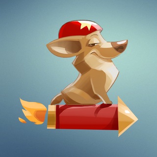 Во имя кота и пса (волонтеры ПС)