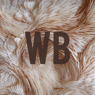 Твой Вайлдбериз 🥥