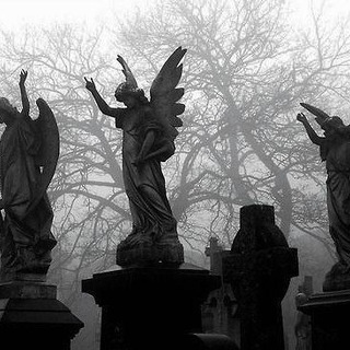 historiesʼ de thyme