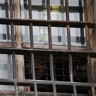 Взгляд сквозь решетку
