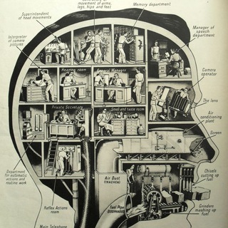 Работай головой