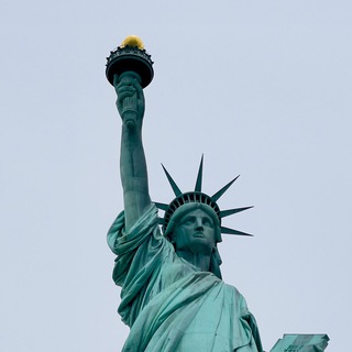 🌴Wallpaper Workshop