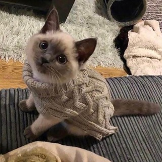 Смотри, что нашла