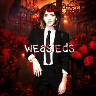 нарезки из «Гарри Поттера»