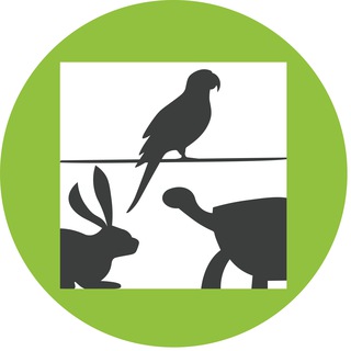 WebExoVet - Online school for Exotic Vets