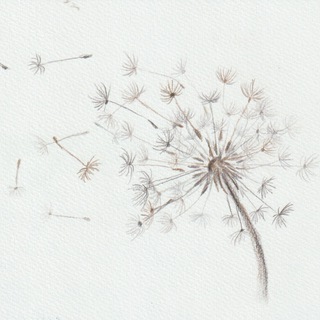 В. Машук ЗЛУ НАЗЛО