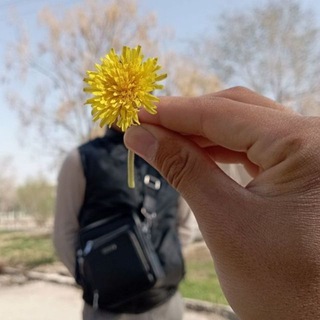 𝑾𝒆𝒓𝒖𝒄𝒂𝒅𝒂て