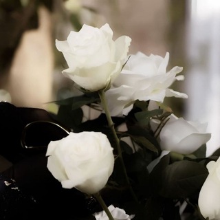 𝘸𝘦𝘹𝘭𝘪𝘬𝘴