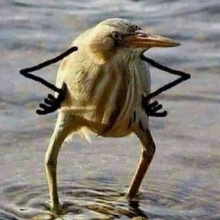 А что происходит-то?!