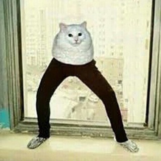 Прихоть Феназепама