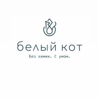 Белый Кот