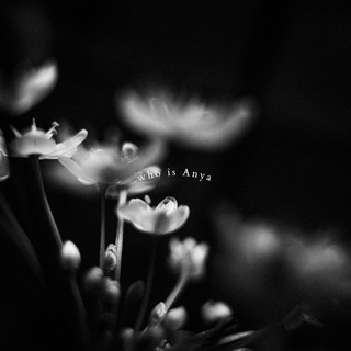 будни фотографа by whoisanyaa