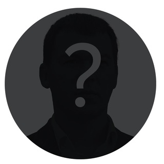 Кто Вы, мистер Дегтярёв?