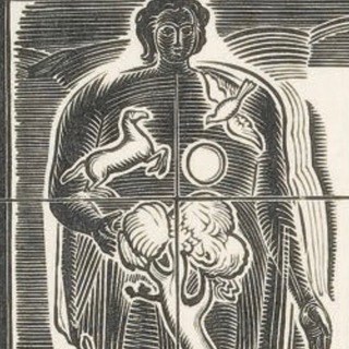 Почему бы вам не