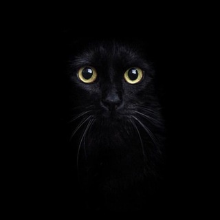 Библиотека мыслей