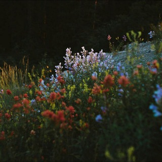 Почему я люблю людей