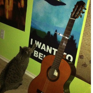 Википедия каждый день