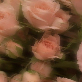 WB для девушек