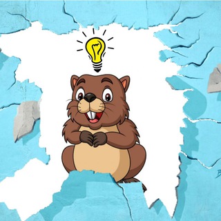 Домашний бобёр