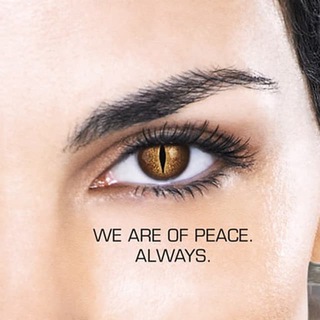 Womanswarm | Рой Женщина | Мужское сопротивление | Мужской канал