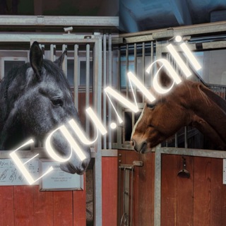 🎄𝕖𝕢𝕦.𝕄𝕒𝕝𝕚 ✨