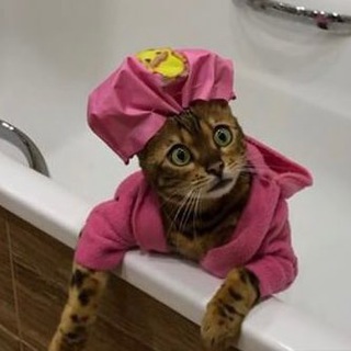 буквы на скидочном