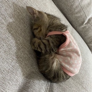 океан мыслей