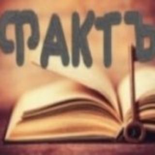 Все по факту