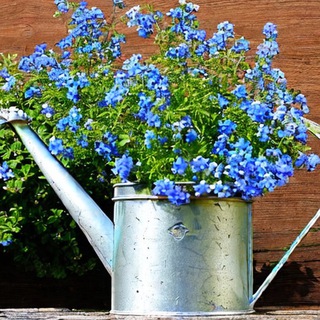 эстетичная дача