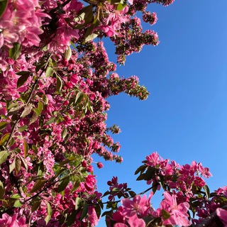 Эстетичные заметки о Москве 🤍