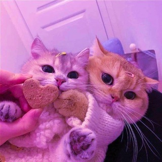 афигенный гороскоп