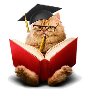 Афоризмом по лицу