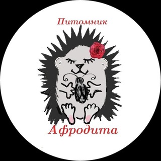 Афродита и Ежики🦔