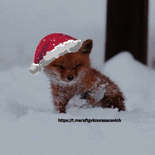 🎄всё ради игры.❄️