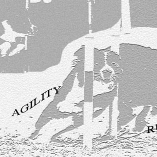 AGILITY RUS