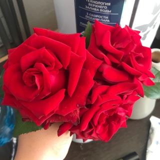 Ивановский аграрий👩🏼‍🌾